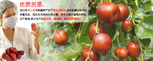 五星和田骏枣 从枝头到舌尖的甜蜜馈赠——藏天岗农社的品质坚守
