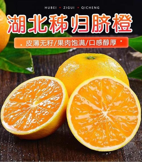 秭归高山夏橙 夏日里的一抹清新酸甜
